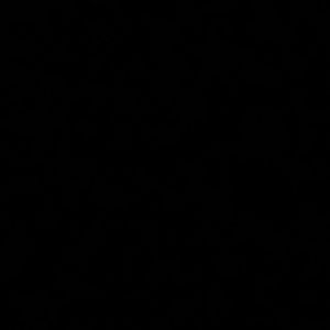 Meet your Posher, Petrus